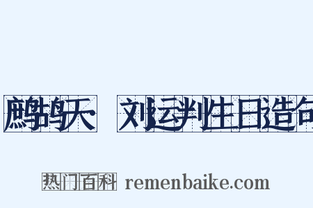鹧鸪天·刘运判生日造句是什么意思的图片